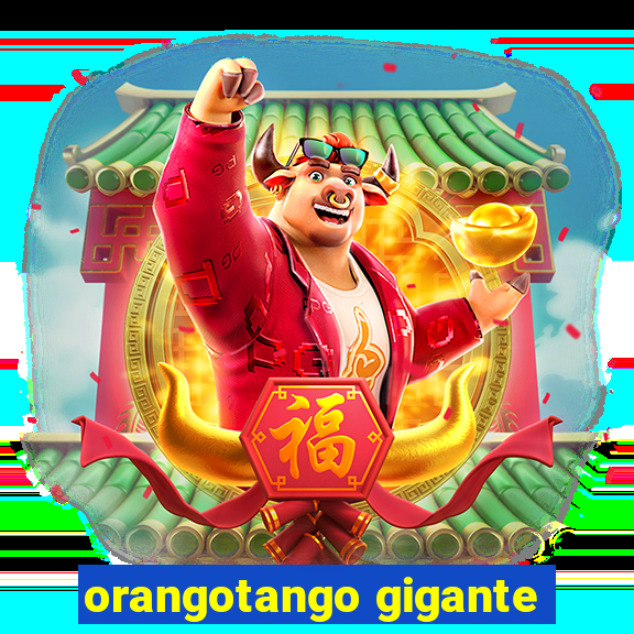 orangotango gigante